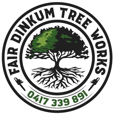 Arborist, Tree Removal and Lopping Service – Fair Dinkum Tree Works